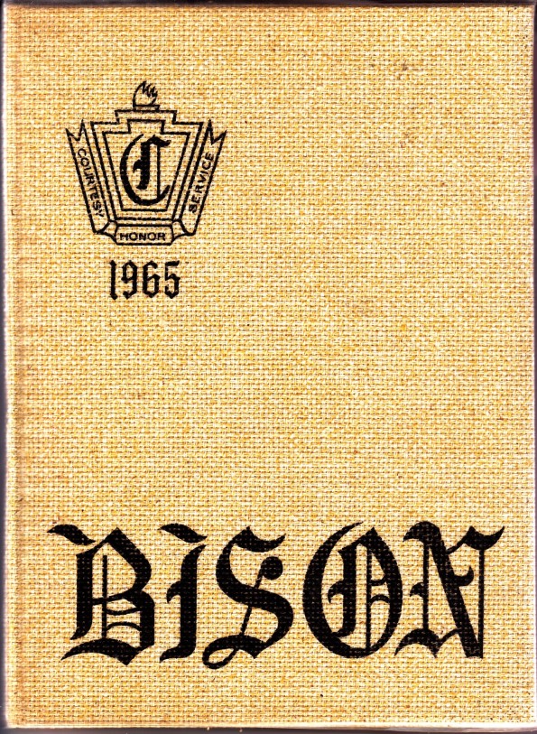 Bison65 (1)